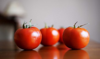 西红柿牛腩汤怎么做（番茄牛腩汤怎么做）