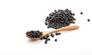 黑豆怎么吃生发（连吃三周白头发不见了）