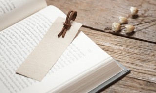 西游记16到20回概括（西游记16到20回概括200字）