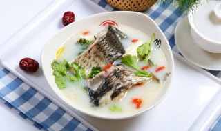 鲫鱼汤怎么熬（鲫鱼汤怎么熬有营养）