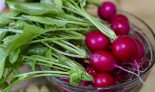 泡萝卜怎么泡好吃（泡萝卜怎么泡好吃脆嫩视频）