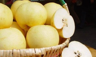 雪梨止咳的做法 白萝卜煮雪梨止咳的做法