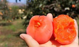 磨盘柿子怎么吃 磨盘柿子怎么吃比较好