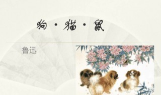 狗猫鼠主要内容概括（朝花夕拾狗猫鼠主要内容概括）