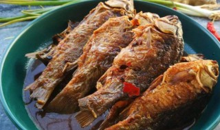 糟鱼怎么做好吃 酒糟鱼怎么做的方法视频