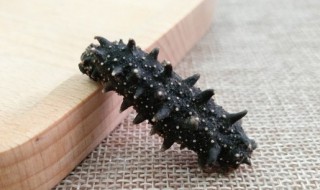 海参怎么吃最有营养14款（海参怎样吃有营养?）