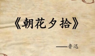 朝花夕拾后记概括（朝花夕拾前三篇）