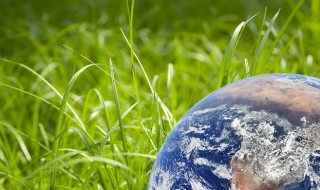 地球草怎么养（地球草怎么养殖视频）