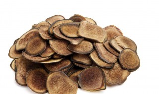 鹿茸怎么炖汤 鹿茸怎么炖汤女人喝好