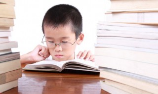 苏维埃社会概括(苏维埃社会概括300字)