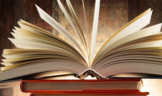 童年第二章概括（童年最后一章的主要内容）