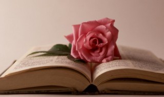 智取无为军概括(宋江智取无为军概括)