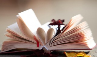 朝的反义词是什么（朝的反义词是什么一年级）