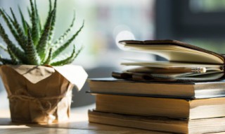 邻怎么组词（邻怎么组词一年级下册）