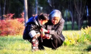 奶奶和孙女的关系叫什么（爷爷和孙子是什么关系）