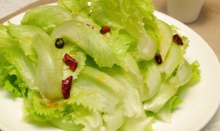 怎么种生菜（怎么种生菜出苗又快又好）