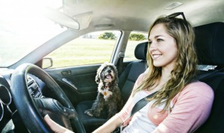 驾驶证电话号码怎么更改 驾驶证手机登记号码怎么改