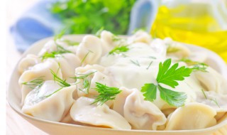 韭菜鸡蛋虾皮饺子馅的做法（韭菜鸡蛋虾皮饺子馅的做法大全图解）