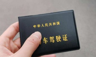 驾驶证号怎么查询 忘记驾驶证号怎么查询