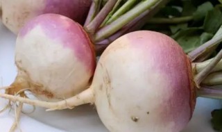 蔓菁怎么做好吃（蔓菁怎么做好吃 新鲜蔓菁的家常做法）