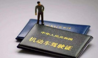 交管12123怎么绑定多个驾驶证（手机查驾驶证个人信息）