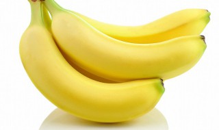 香蕉怎么种植 香蕉怎么种植视频