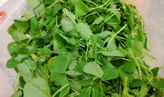 草头怎么做好吃 草头怎么做好吃又嫩