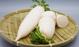 凉拌白萝卜丝的做法 凉拌白萝卜的做法