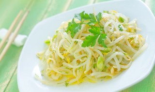 豆芽怎么种植技术（豆芽怎么种植技术与管理）