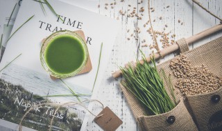 小麦种子怎么种 我的世界小麦种子怎么种