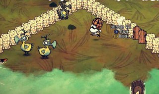 饥荒渡渡鸟怎么养（饥荒渡渡鸟怎么养安全）