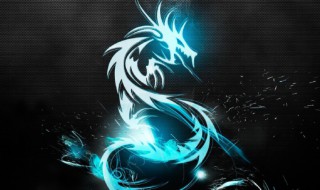 88年属什么生肖 88年属什么生肖的属性