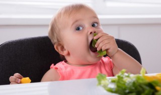 7个月宝宝辅食食谱大全及做法（7个月的宝宝辅食食谱）