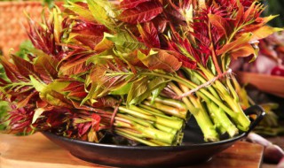 香椿煎蛋香椿要焯水吗（香椿煎蛋香椿要焯水吗窍门）
