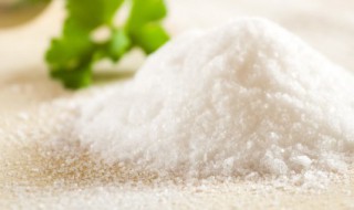 食盐是晶体吗（冰是晶体吗）