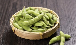 黄豆和毛豆的区别 毛豆是不是黄豆的前身