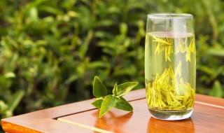 碧螺春怎么喝 碧螺春茶叶怎么冲泡