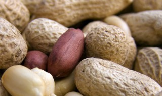 带壳花生煮多长时间能煮熟（煮花生多长时间能熟）