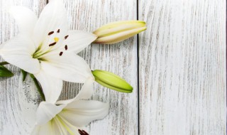 百合花花粉怎么清除擦不掉吗（百合花花粉怎样清除）