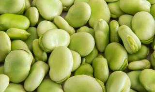 为什么鱼吃蚕豆会变脆 为什么鱼吃蚕豆会变脆了