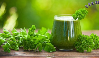 有毒的野芹菜长得怎样的（野芹菜有毒和无毒的区别）