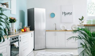 冰箱停电了肉坏了臭味大怎么去臭（冰箱里肉烂了腐臭味怎么消除）