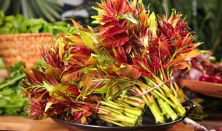 腌香椿对身体的害处 腌香椿对身体的害处图片