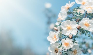 回南天什么时候开始(2023年回南天什么时候开始)