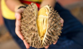 偶尔吃一次榴莲会不会胖（榴莲偶尔吃一次长肉吗）