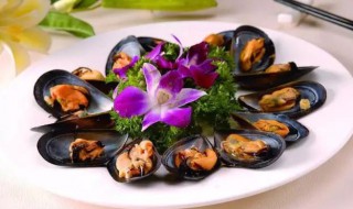 海虹是啥（海虹是什么东西）