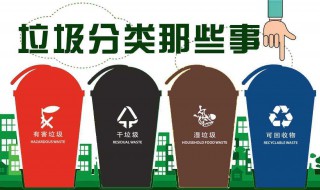 垃圾分类表（垃圾分类表示图）