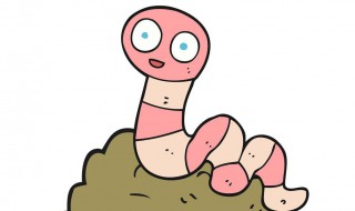 世界上最长的蚯蚓是在哪里发现的（世界上最长的蚯蚓在哪发现的?）