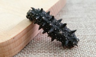 海参怎么食用效果最好 正宗海参一斤多少钱