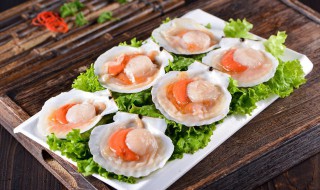 清蒸扇贝需要几分钟 清蒸扇贝需要几分钟窍门